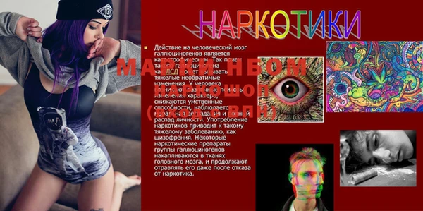спайс Аркадак