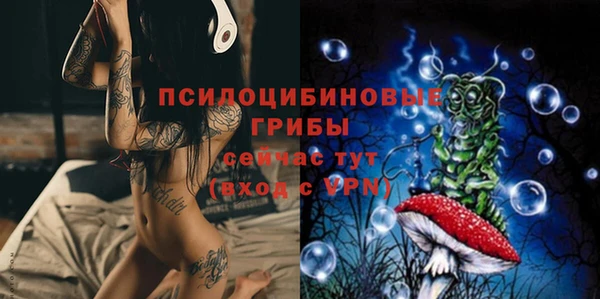ПСИЛОЦИБИНОВЫЕ ГРИБЫ Армянск